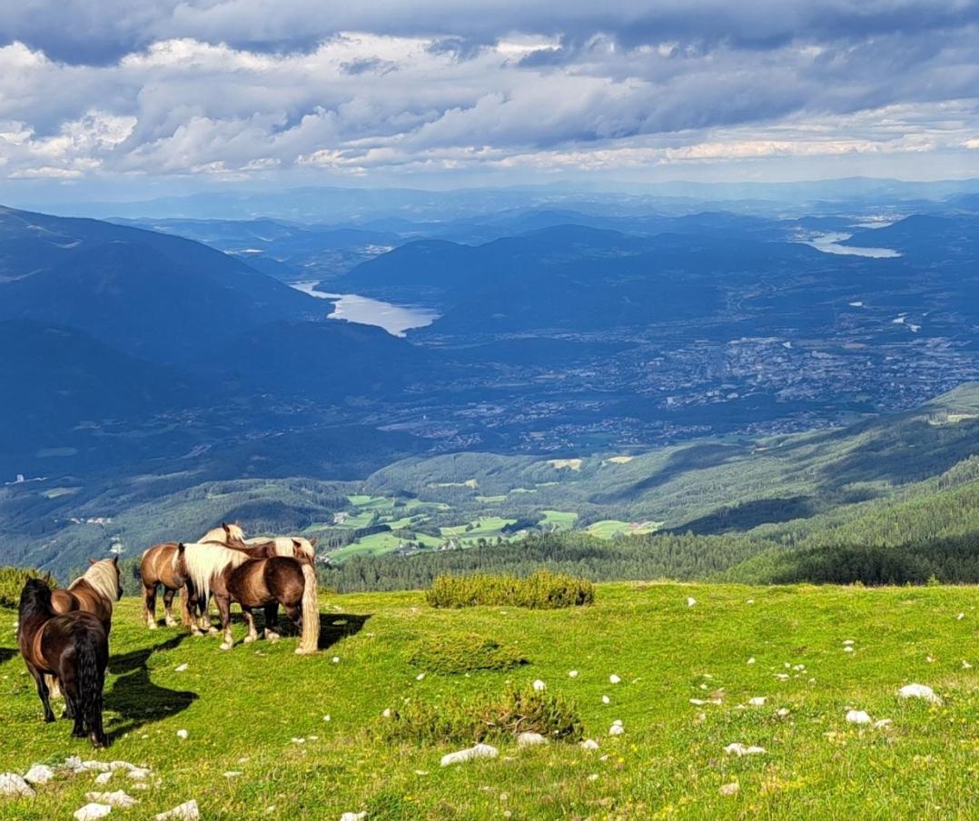Direkter Seezugang Am Ossiacher See, Radfahren, Wandern & Erlebniscard Villach Exterior foto